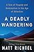 A Deadly Wandering: A Tale of Tragedy and Redemption in the Age of Attention - Book by Matt Richtel