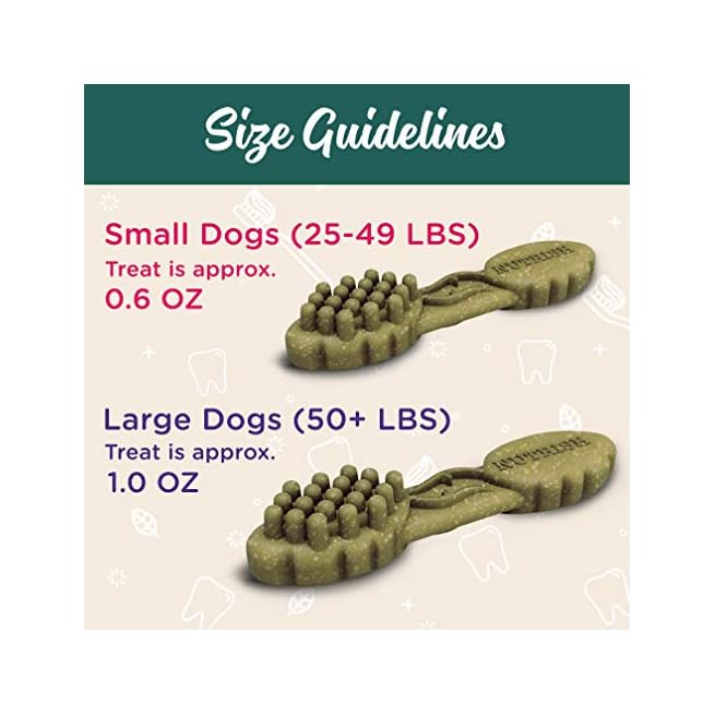 rachael ray nutrish smoochies