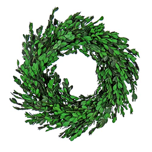 National Tree Company 18 inch Artificial Spring Wreath with Boxwood Branches, R…