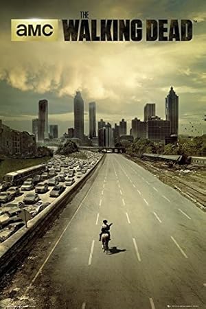 Amazon De The Walking Dead Poster Dead City Season 1 Poster Grossformat 61cm X 91 5cm