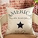 Fjfz July 4th Farmhouse Decorative Throw Pillow Cover America Est. 1776 Patriotic Sign Decoration Rustic Home Decor Cotton Linen Cushion Case for Sofa Couch, 18