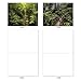 The Best Card Company - Box of 10 All Occasion Cards Blank (4 x 5.12 Inch) - Scenic Landscape Cards Assorted - Nature Trails M6467OCB