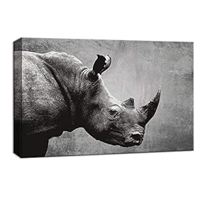 Rhino On Gray Background - Canvas Art