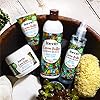 Inecto Naturals Cocoa Butter Skin Care Bundle, Body Lotion 400ml, Body Oil 200ml, Hand & Nail Cream 75ml & Luxury…