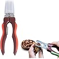 SEJONG COOK Chestnut Scissors Special for Chestnut Peeler, Nut Cracker, Crusher SJ137 (Handle Color may Vary). Ergonomic Chestnut Opener Chestnut Skin Remover Kitchen Tool