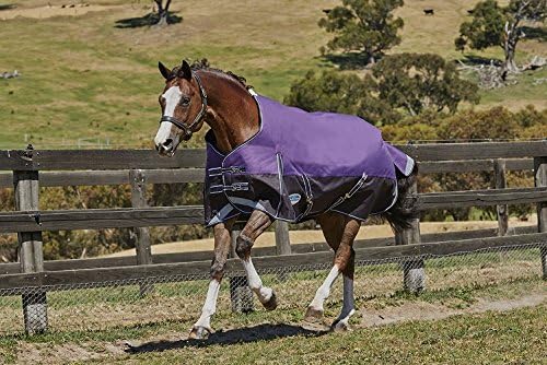 WeatherBeeta Comfitec Plus Dynamic Standard Neck Blanket Medium Purple/Black 75"