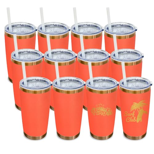 20 oz Insulated Stainless Steel Tumbler