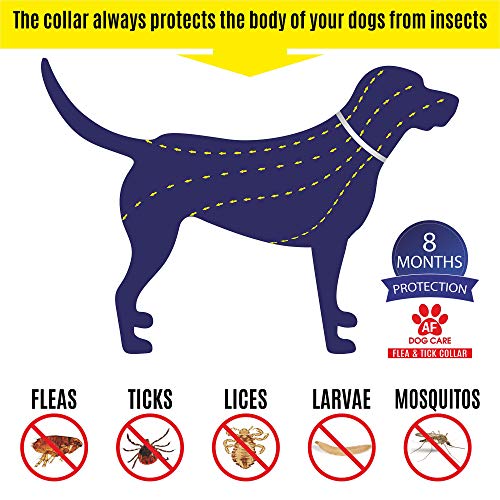 AF Dog Flea and Tick Control Collar - 8 Months Flea and Tick Control for Dogs - Natural, Herbal, Non-Toxic Dog Flea Treatment - Waterproof Protection and Adjustable Best Flea Collar for Dogs