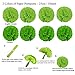 ZERODECO Party Decoration, 21 Pcs Green Hanging Paper Fans, Pom Poms Flowers, Garlands String Polka Dot and Triangle Bunting Flags for Golf Party Dinosaur Birthday Parties Arbor Day