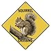 CROSSWALKS Squirrel Crossing 12