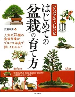 いちばんていねいな はじめての盆栽の育て方