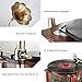 LuguLake Bluetooth Phonograph Record Player Turntable, Library Vintage Phonograph Gramophone with Copper Horn, Built-in Independent subwoofer 3.5mm Aux-in/ USB/FM for Home, Officethumb 4