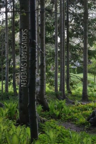 Skrivstart Sweden: Journal, Diary, Notebook, Travel Log (Swedish Mossy Forest) (6 x 9 Lined Pages) (Skrivstart Sweden Series from THINK LAGOM) by Kate Terry