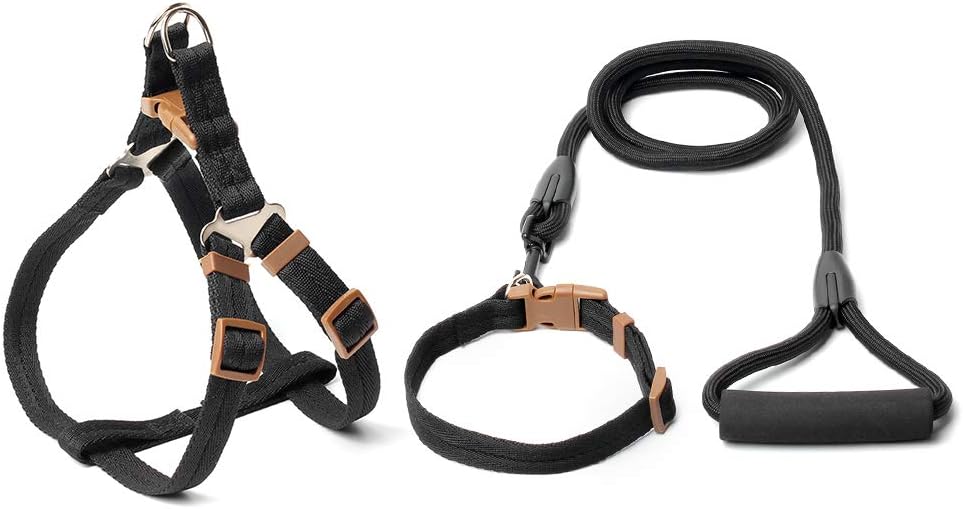 kit di aiuto per cani di taglia grande