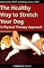 The Healthy Way to Stretch Your Dog: A Physical Therapy Approach