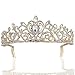 Sppry Gorgeous Baroque Rhinestone Tiara Crown for Bridal Princess Women at Wedding Birthday Pageant (Gold)