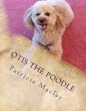 Otis The Poodle by 