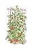 Gardener's Supply Company Lifetime Tomato Cage Plant Stand | 32