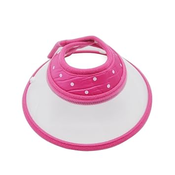 Pets Empire Pet Cone Elizabethan Collar, Color May Vary ,Medium