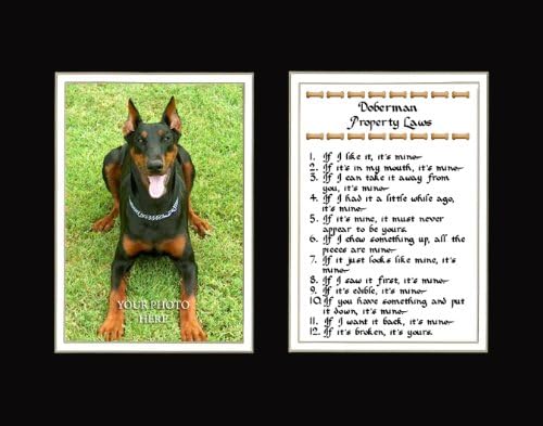 Doberman Property Laws Wall Decor Humorous Pet Dog Saying Gift