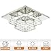Ganeed Crystal LED Ceiling Light,12 Inch Stainless Steel K9 Modern Flush Mount Lights Fixture,Two Layers Square Chandelier Ceiling Lamp for Dining Living Room Bedroom(36W / 6500K / Cool White)