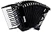 Roland FR-1X Premium V-Accordion Lite with 26 Piano Keys and Speakers, Black
