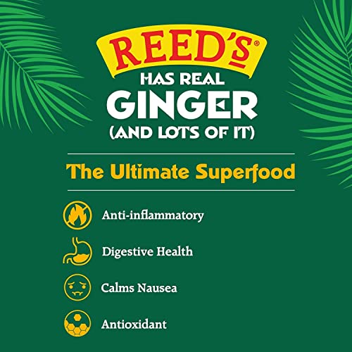 REED’S ALL NATURAL CRYSTALLIZED GINGER NUGGETS IN A 16 OZ RESEALABLE BAG – BABY GINGER ROOT FRUIT SLICES SWEETENED WITH RAW CANE SUGAR CRYSTALS – HIGH ENERGY GINGER CANDIES FOR SNACKING – 12 PACK