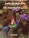 Jardim dos Beija-flores / The Hummingbird Garden (Portuguese and English Edition) by 