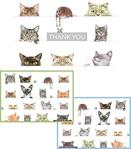 Image of Entertaining with Caspari Bundle of Boxed Assorted Blank Note Cards and Thank You Cards (Kitties)