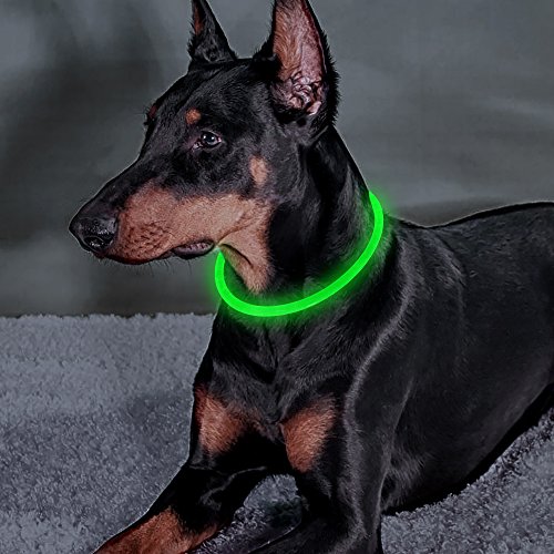 Ezier Reflective Dog Collar-USB Rechargeable LED Dog Collar,Lighted Dog Collar for Small Medium Large Dogs(Green)