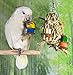 Birds LOVE Small Seagrass Foraging Pouch Toy w Wood Toys on Natural Rope, Forage Hanging Chewing Fun for Conures Cockatoos Cockatiels – 10″ x 8″thumb 1