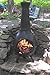 The Blue Rooster Dragonfly Cast Aluminum Wood Burning Chiminea in Charcoal