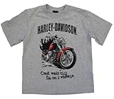 Harley-Davidson Little Boys' Motorcycle T-Shirt Gray Toddler 3074056