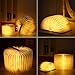 Xtozon Folding Book Lamp, Wooden Book Lamp Folding Portable Desk Light, Wireless USB Rechargeable Led Folding Book Light - 3 Colors Novelty Gifts for Adult Kids (5.7×4.3×1 in)