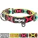 Blueberry Pet 2 Colors Soft & Comfy Southwestern Vintage Tribal Print Padded Adjustable Dog Collar, Extravagant Green, Small, Neck 12