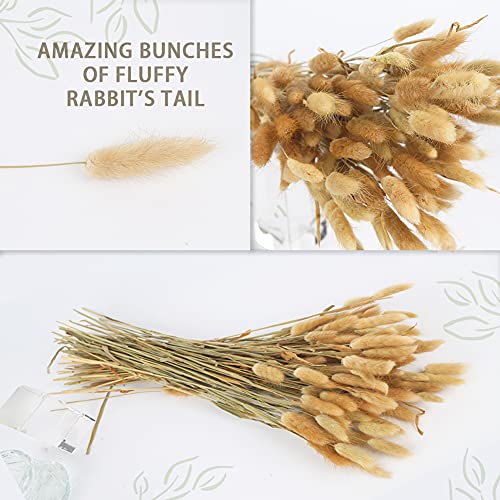 JOHOUSE 120PCS Natural Rabbit\'s Tail Grass, 16inch Dried Pampas Grass Eternal Flower Dried Grass for Wedding Home Decoration Flower Arrangements Photo Props, Primary Color