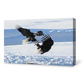 Canvas Wall Art for Living Room,Bedroom Home Artwork Paintings Snow Eagle Ready to Hang - 12x18 inches