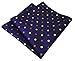 Shlax&Wing Dots Blue Khaki Pocket Square Mens Hankies Hanky