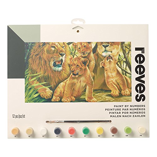 Lion Paint By Number Kits Stunning PBN Kits of The King Of The Jungle