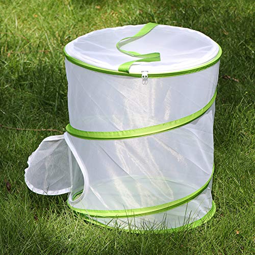 3 RESTCLOUD+Insect+Butterfly+Habitat+Terrarium