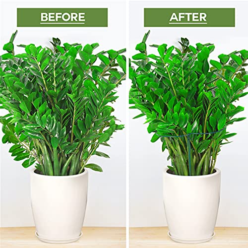 LEOBRO Plant Support Plant Stakes, 6pcs Peony Cages and Supports, Metal Garden Stakes Plant Supports, Plant Support Stakes, for Peony, Tomato, Hydrangea, Indoor Outdoor Plants, 10" W x 15.8" H