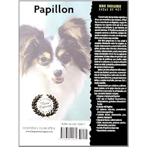 Papillon / The Papillon (Excellence) (Spanish Edition)
