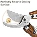 Professional Sharp Pruners, Garden Pruners, Tree Trimmers Secateurs, Bypass Pruning Shears, Secateurs, Hand Pruner, Garden Shears, Gardening Shears Clippers for Plants, Gardening Cutter (wood)thumb 2