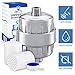 Universal Shower Filter with 2 Replacement Filter Cartridge + Teflon Tape - Removes Chlorine, Flouride and Hard Water - Compatibility with any Shower Head and Handheld Shower - Chrome Plated - NEPWIZ