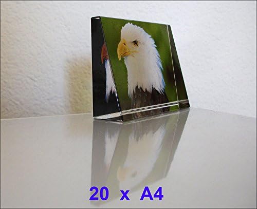 Qiagraphix 20 sheets Inkjet Clear Waterslide Transfer Decal Paper