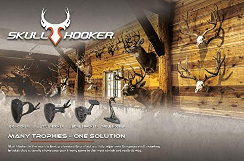 Skull Hooker Little Hooker Trophy Mount - Image 7