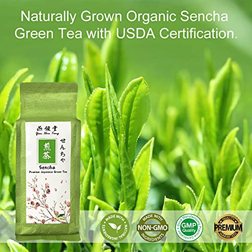 Yan Hou Tang Organic Sencha Green Tea Japanese Loose Leaf 150g Premium Tea King Natural Caffeine Level Medium Classic Leaves with Gifts Box for Tea Lovers