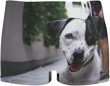 pugs in bathing suits