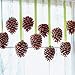 Winter Woods Cinnamon Scented Pinecones 12-14/Pkg, Large