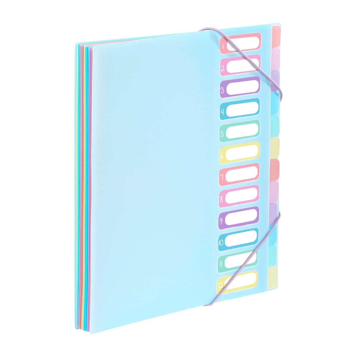 Viquel - A4 Document Folder with 12 compartments - Expandable Desk Organiser - A4 Document Holder with Index - Elastic Closure - Rainbow Pastel Blue